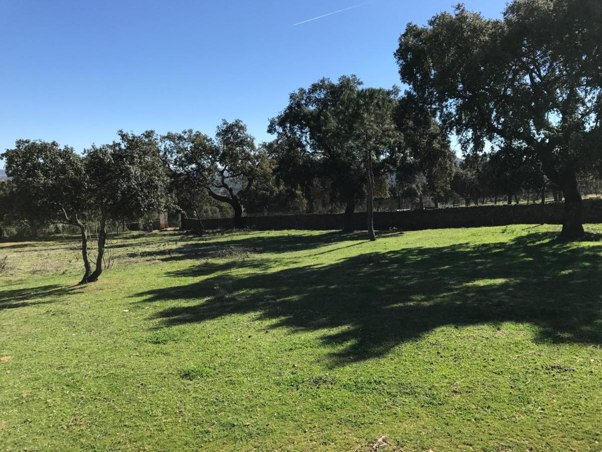 Casa Rural De La Finca Sierra Grande Hornachos Dış mekan fotoğraf