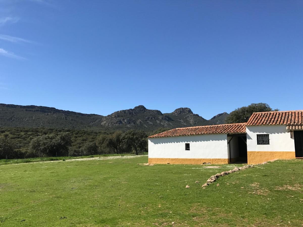 Casa Rural De La Finca Sierra Grande Hornachos Dış mekan fotoğraf