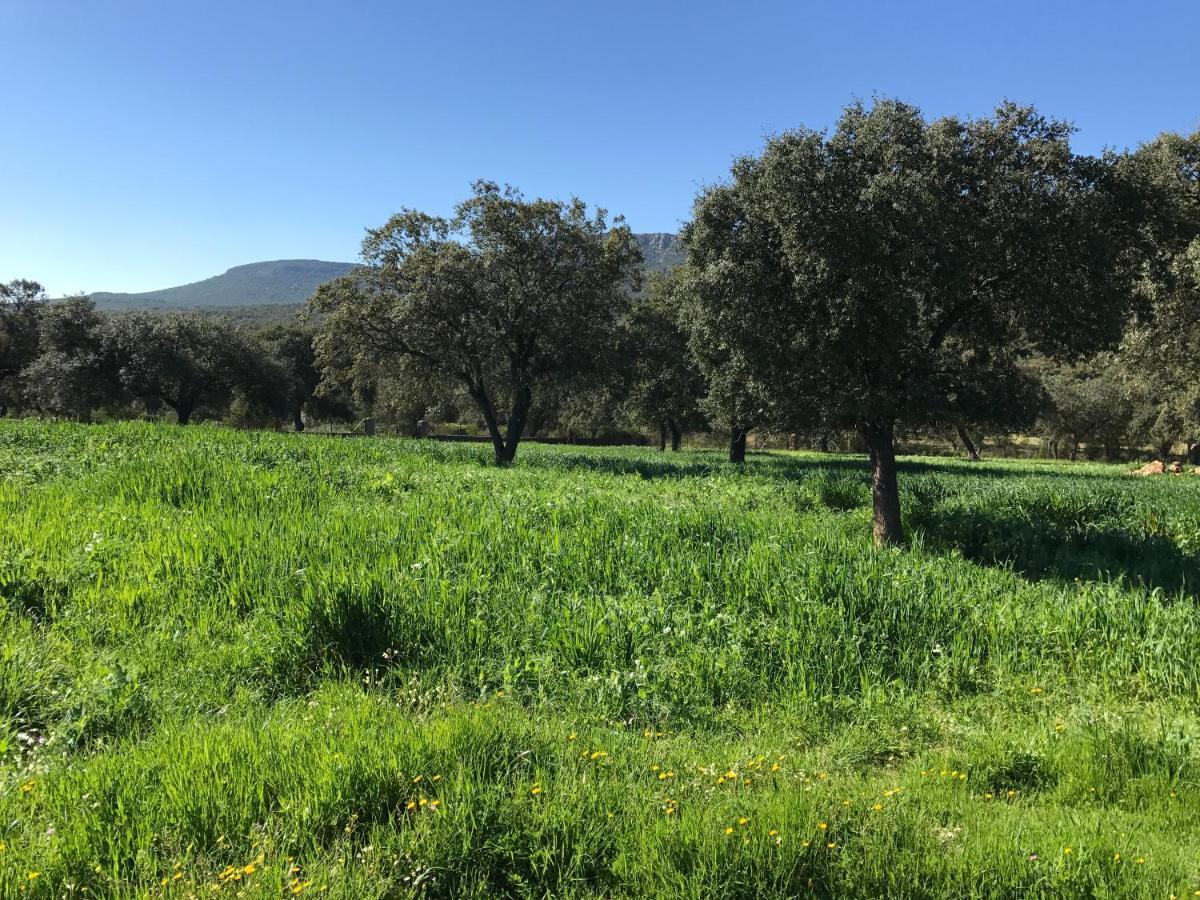 Casa Rural De La Finca Sierra Grande Hornachos Dış mekan fotoğraf